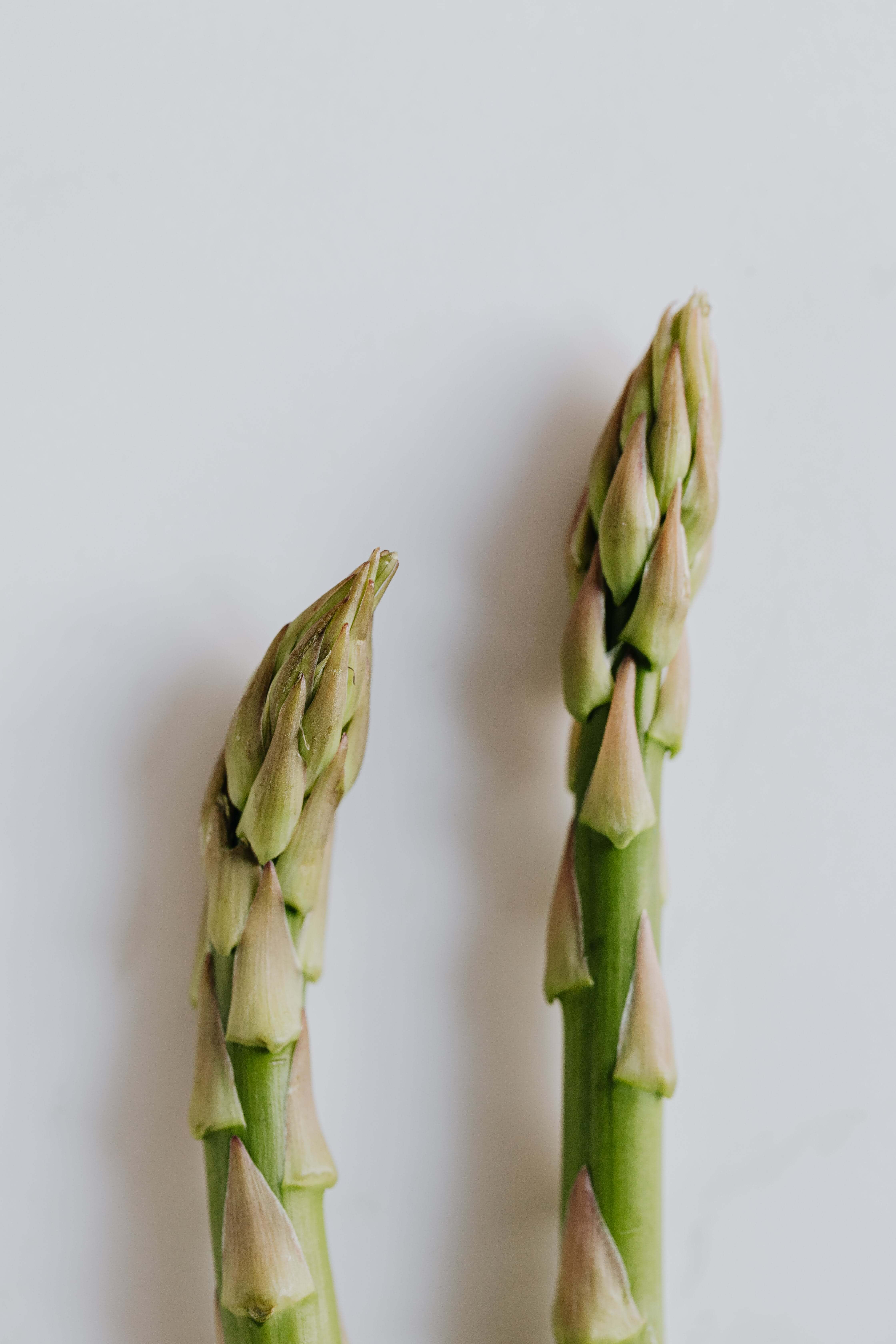 Asparagus