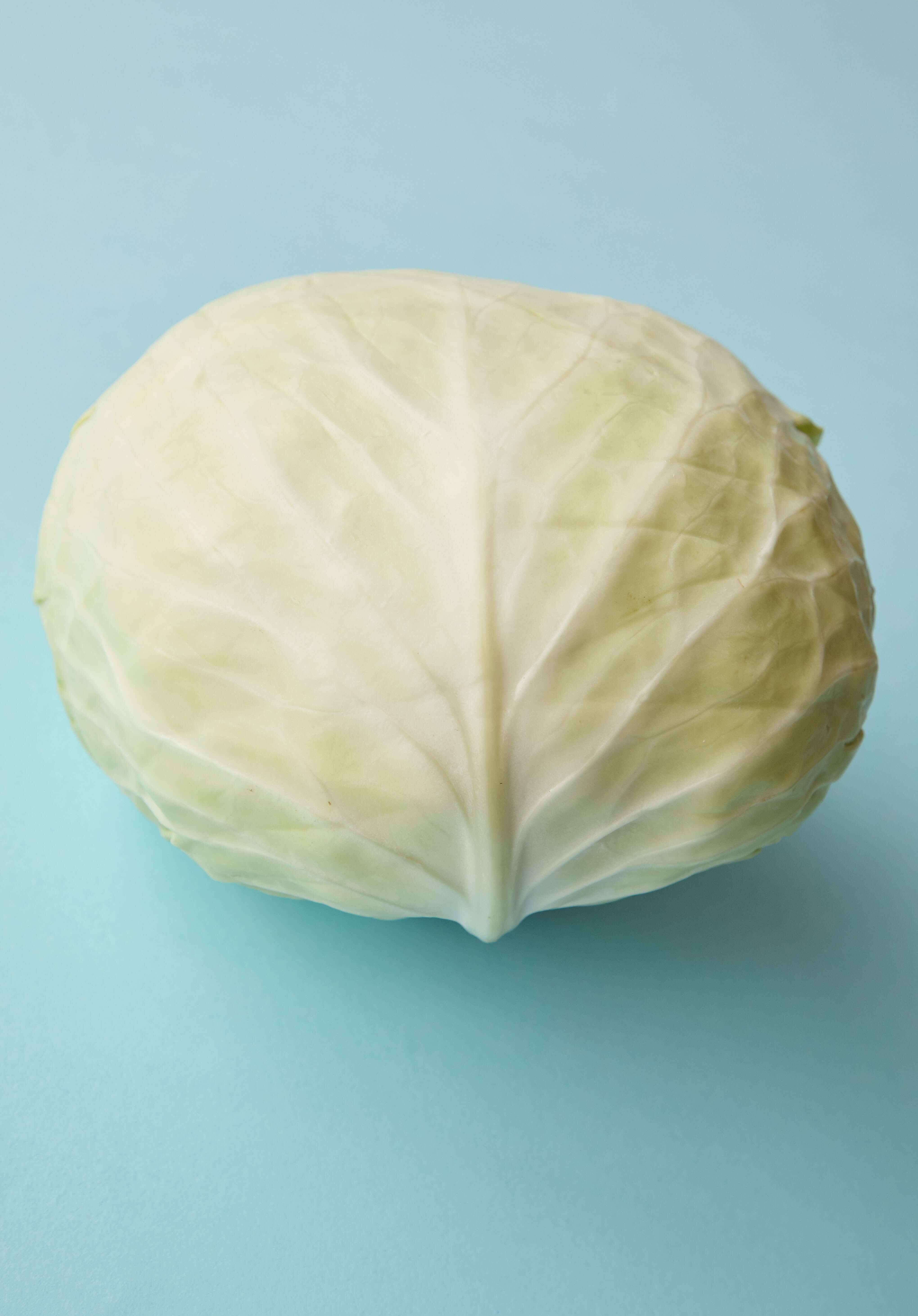 Cabbage