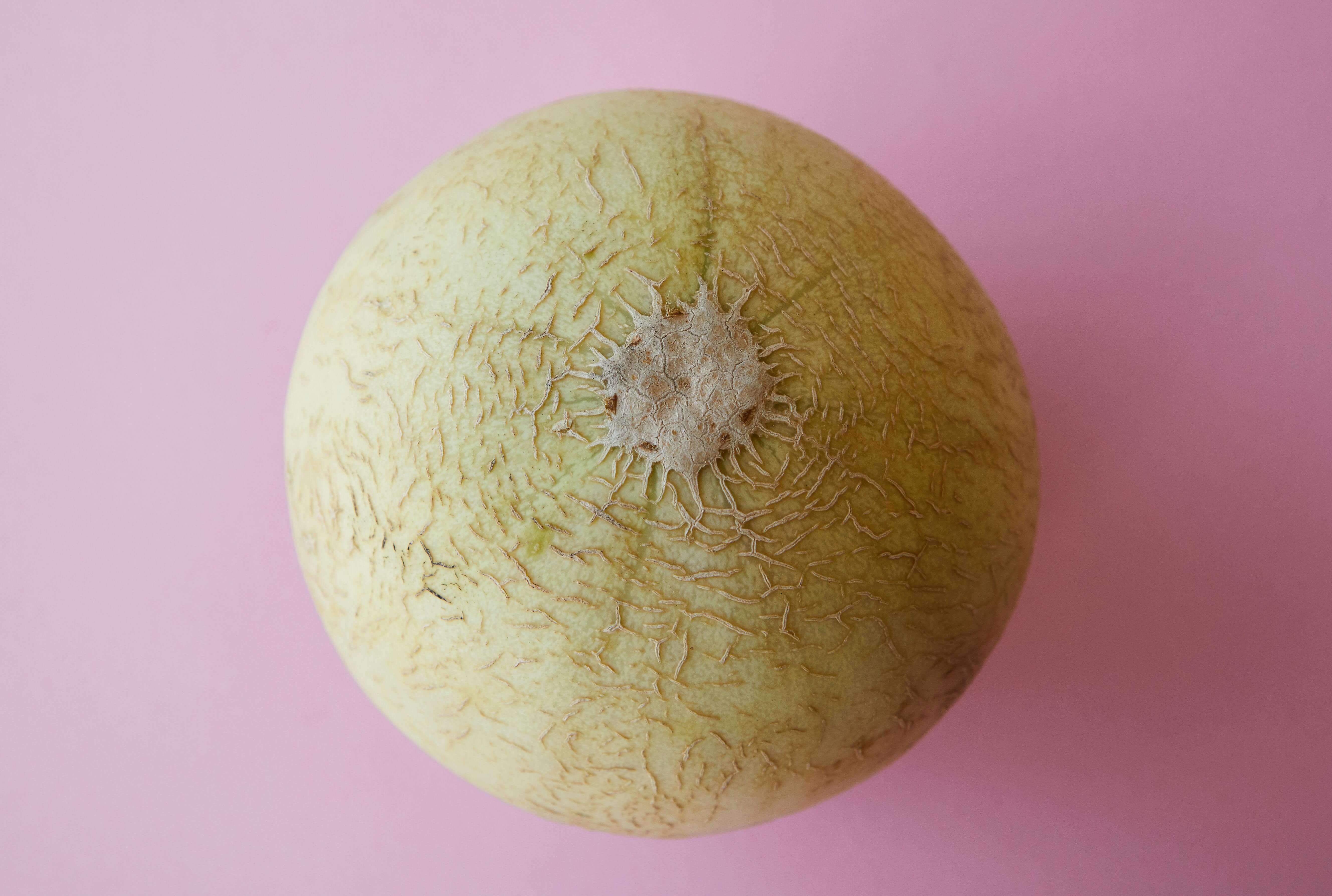 Melon