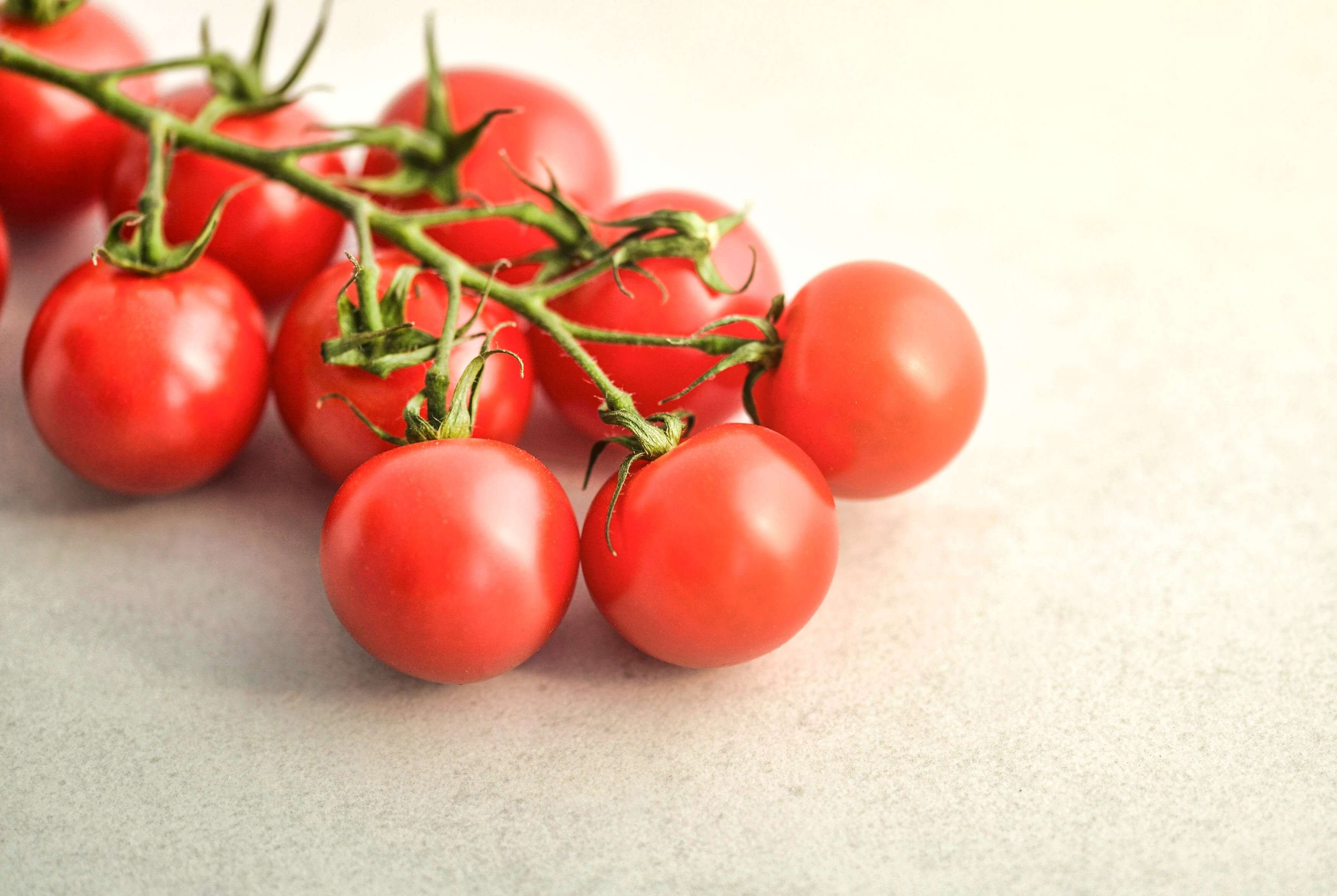 Tomatoes